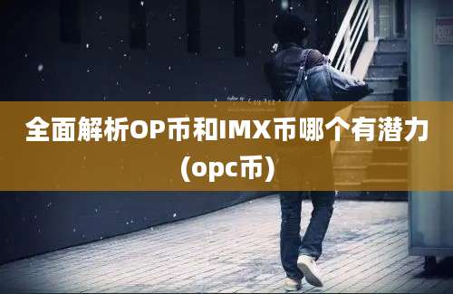 全面解析OP币和IMX币哪个有潜力(opc币)