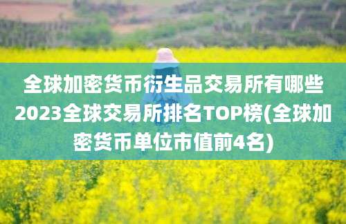 全球加密货币衍生品交易所有哪些2023全球交易所排名TOP榜(全球加密货币单位市值前4名)