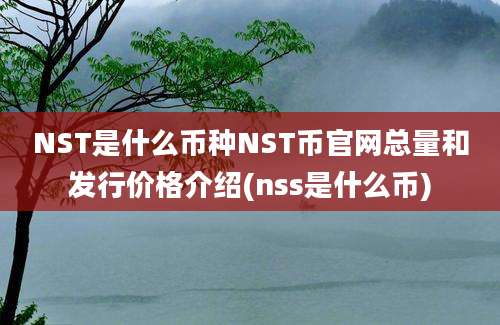 NST是什么币种NST币官网总量和发行价格介绍(nss是什么币)