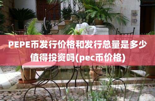 PEPE币发行价格和发行总量是多少值得投资吗(pec币价格)