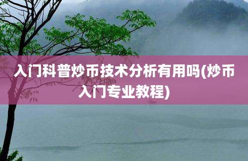 入门科普炒币技术分析有用吗(炒币入门专业教程)