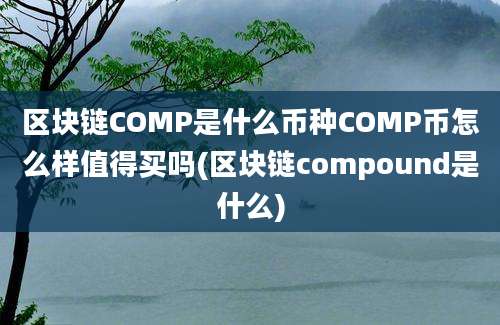 区块链COMP是什么币种COMP币怎么样值得买吗(区块链compound是什么)