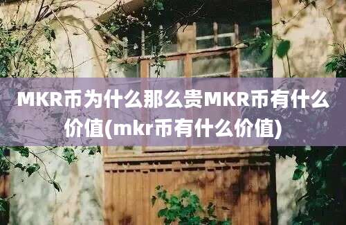 MKR币为什么那么贵MKR币有什么价值(mkr币有什么价值)