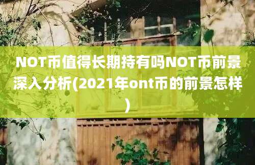 NOT币值得长期持有吗NOT币前景深入分析(2021年ont币的前景怎样)