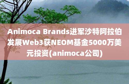 Animoca Brands进军沙特阿拉伯发展Web3获NEOM基金5000万美元投资(animoca公司)