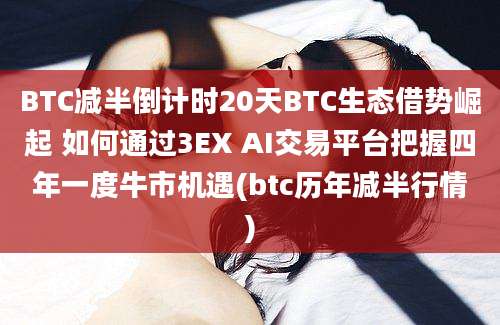 BTC减半倒计时20天BTC生态借势崛起 如何通过3EX AI交易平台把握四年一度牛市机遇(btc历年减半行情)