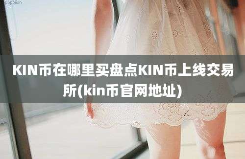 KIN币在哪里买盘点KIN币上线交易所(kin币官网地址)