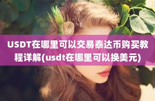 USDT在哪里可以交易泰达币购买教程详解(usdt在哪里可以换美元)