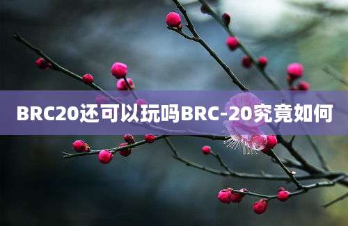 BRC20还可以玩吗BRC-20究竟如何