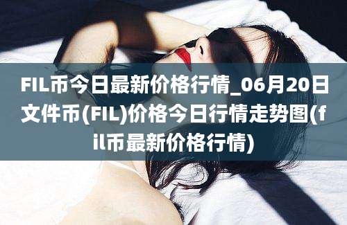 FIL币今日最新价格行情_06月20日文件币(FIL)价格今日行情走势图(fil币最新价格行情)