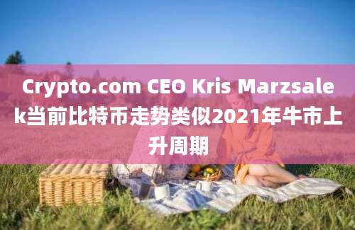 Crypto.com CEO Kris Marzsalek当前比特币走势类似2021年牛市上升周期