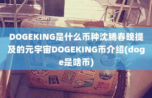 DOGEKING是什么币种沈腾春晚提及的元宇宙DOGEKING币介绍(doge是啥币)