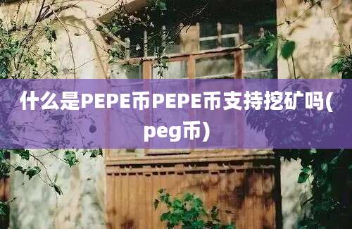 什么是PEPE币PEPE币支持挖矿吗(peg币)