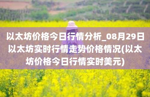 以太坊价格今日行情分析_08月29日以太坊实时行情走势价格情况(以太坊价格今日行情实时美元)