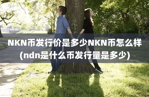 NKN币发行价是多少NKN币怎么样(ndn是什么币发行量是多少)