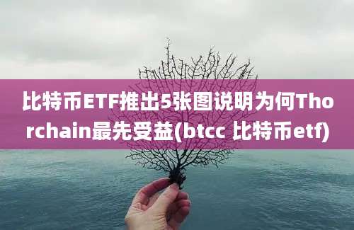 比特币ETF推出5张图说明为何Thorchain最先受益(btcc 比特币etf)