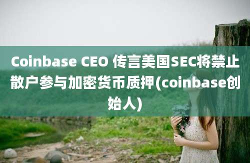 Coinbase CEO 传言美国SEC将禁止散户参与加密货币质押(coinbase创始人)