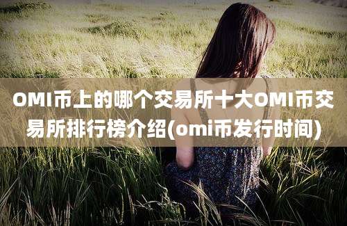 OMI币上的哪个交易所十大OMI币交易所排行榜介绍(omi币发行时间)