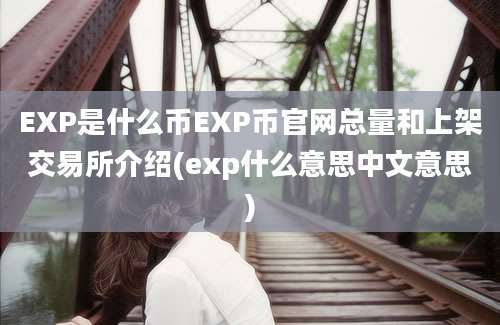 EXP是什么币EXP币官网总量和上架交易所介绍(exp什么意思中文意思)