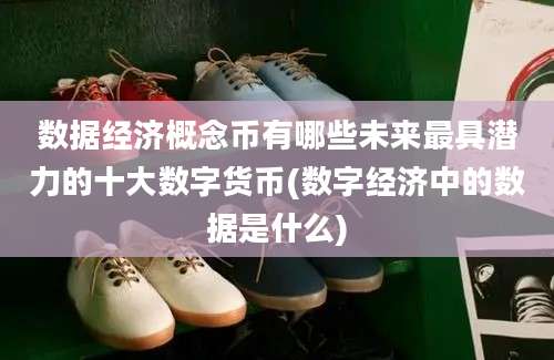 数据经济概念币有哪些未来最具潜力的十大数字货币(数字经济中的数据是什么)