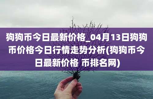 狗狗币今日最新价格_04月13日狗狗币价格今日行情走势分析(狗狗币今日最新价格 币排名网)