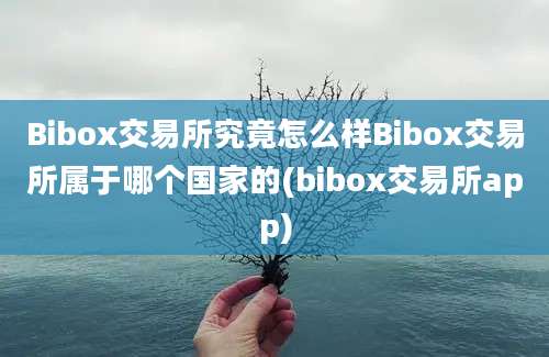 Bibox交易所究竟怎么样Bibox交易所属于哪个国家的(bibox交易所app)