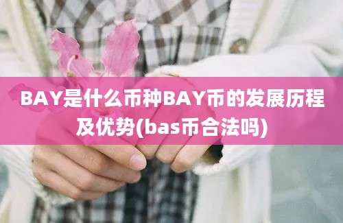 BAY是什么币种BAY币的发展历程及优势(bas币合法吗)