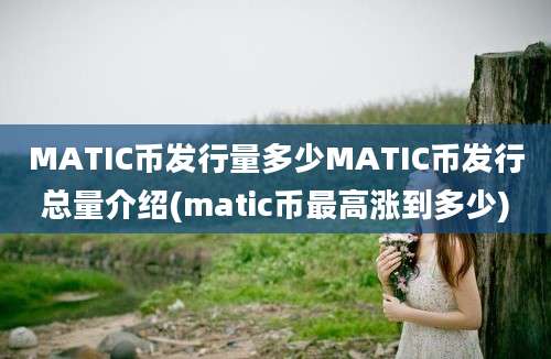 MATIC币发行量多少MATIC币发行总量介绍(matic币最高涨到多少)