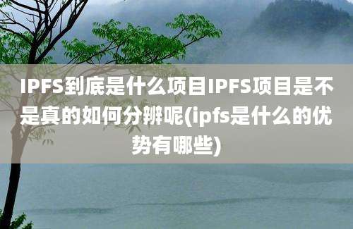 IPFS到底是什么项目IPFS项目是不是真的如何分辨呢(ipfs是什么的优势有哪些)