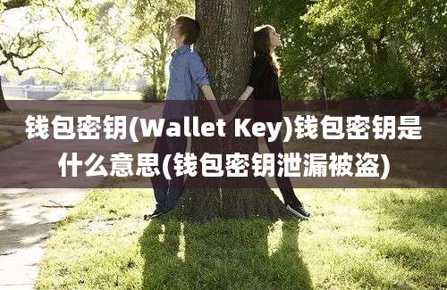 钱包密钥(Wallet Key)钱包密钥是什么意思(钱包密钥泄漏被盗)