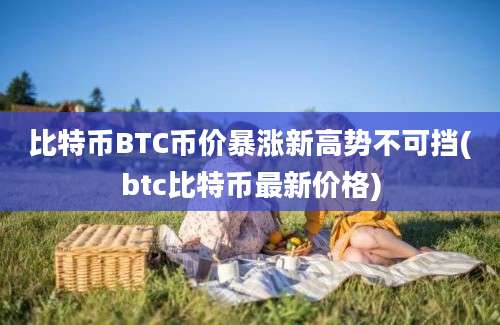 比特币BTC币价暴涨新高势不可挡(btc比特币最新价格)