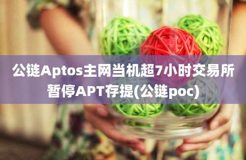 公链Aptos主网当机超7小时交易所暂停APT存提(公链poc)