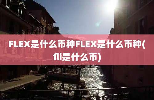 FLEX是什么币种FLEX是什么币种(fli是什么币)