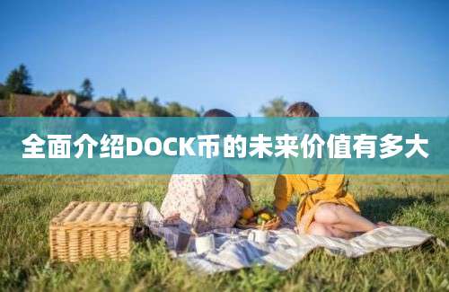 全面介绍DOCK币的未来价值有多大