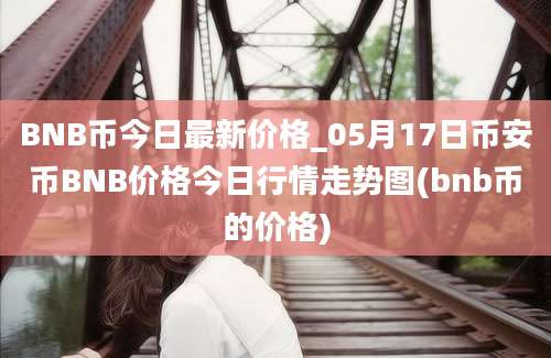 BNB币今日最新价格_05月17日币安币BNB价格今日行情走势图(bnb币的价格)