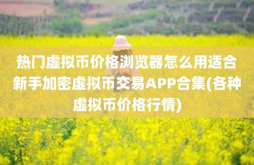 热门虚拟币价格浏览器怎么用适合新手加密虚拟币交易APP合集(各种虚拟币价格行情)