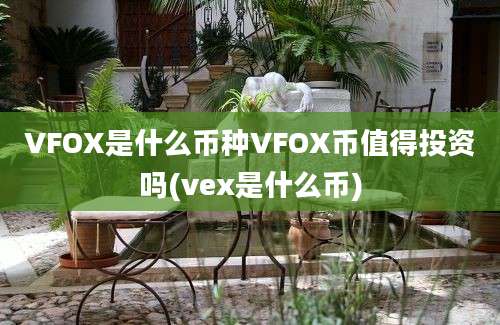 VFOX是什么币种VFOX币值得投资吗(vex是什么币)