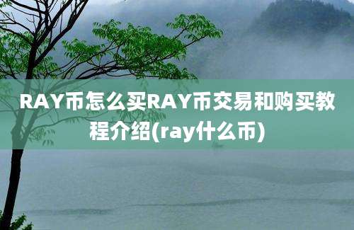 RAY币怎么买RAY币交易和购买教程介绍(ray什么币)