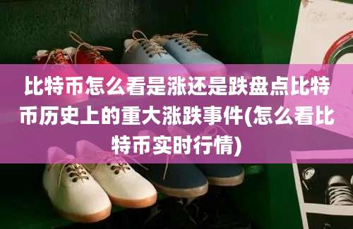 比特币怎么看是涨还是跌盘点比特币历史上的重大涨跌事件(怎么看比特币实时行情)