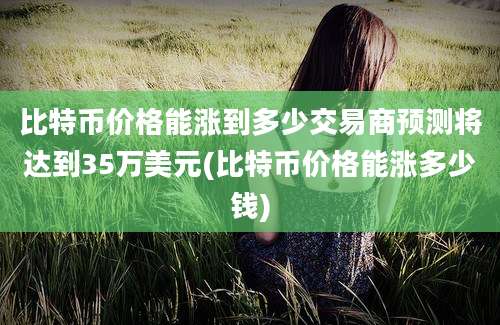 比特币价格能涨到多少交易商预测将达到35万美元(比特币价格能涨多少钱)