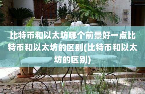 比特币和以太坊哪个前景好一点比特币和以太坊的区别(比特币和以太坊的区别)