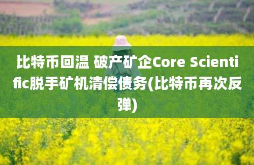 比特币回温 破产矿企Core Scientific脱手矿机清偿债务(比特币再次反弹)