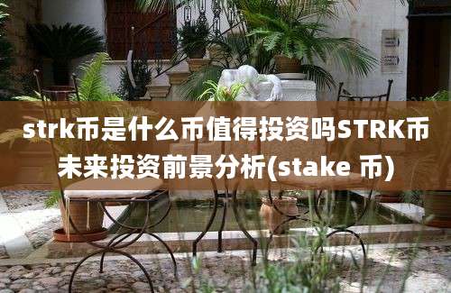 strk币是什么币值得投资吗STRK币未来投资前景分析(stake 币)