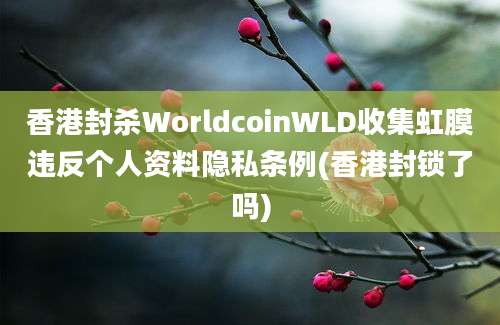 香港封杀WorldcoinWLD收集虹膜违反个人资料隐私条例(香港封锁了吗)