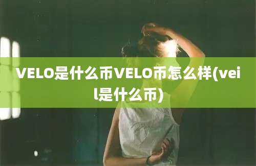 VELO是什么币VELO币怎么样(veil是什么币)