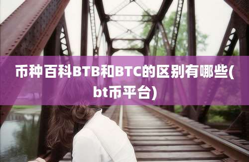 币种百科BTB和BTC的区别有哪些(bt币平台)