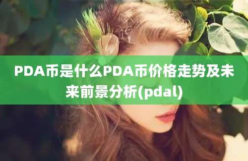 PDA币是什么PDA币价格走势及未来前景分析(pdal)