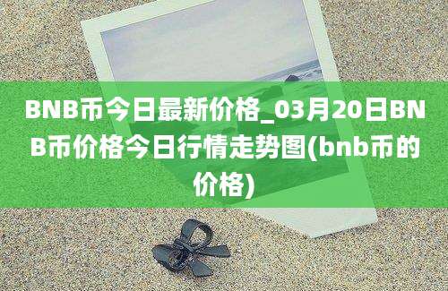 BNB币今日最新价格_03月20日BNB币价格今日行情走势图(bnb币的价格)