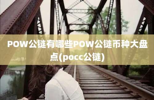 POW公链有哪些POW公链币种大盘点(pocc公链)