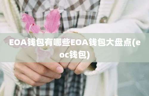 EOA钱包有哪些EOA钱包大盘点(eoc钱包)